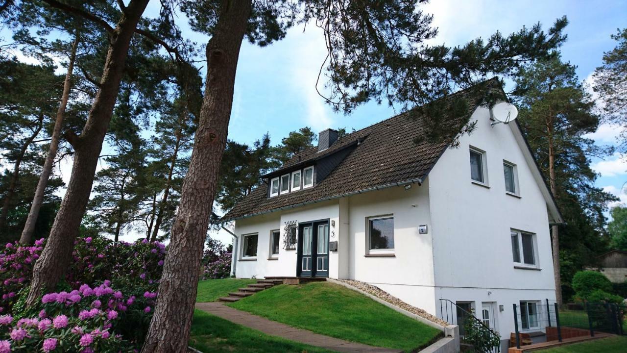 Gemuetliche In Der Lueneburger Heide *